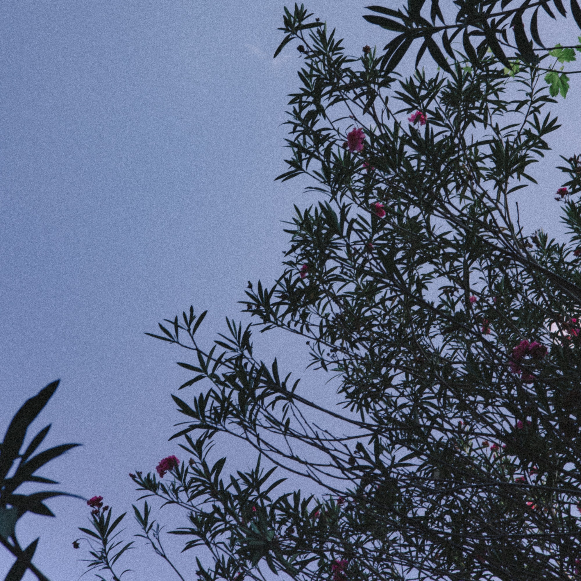 Доброе утро