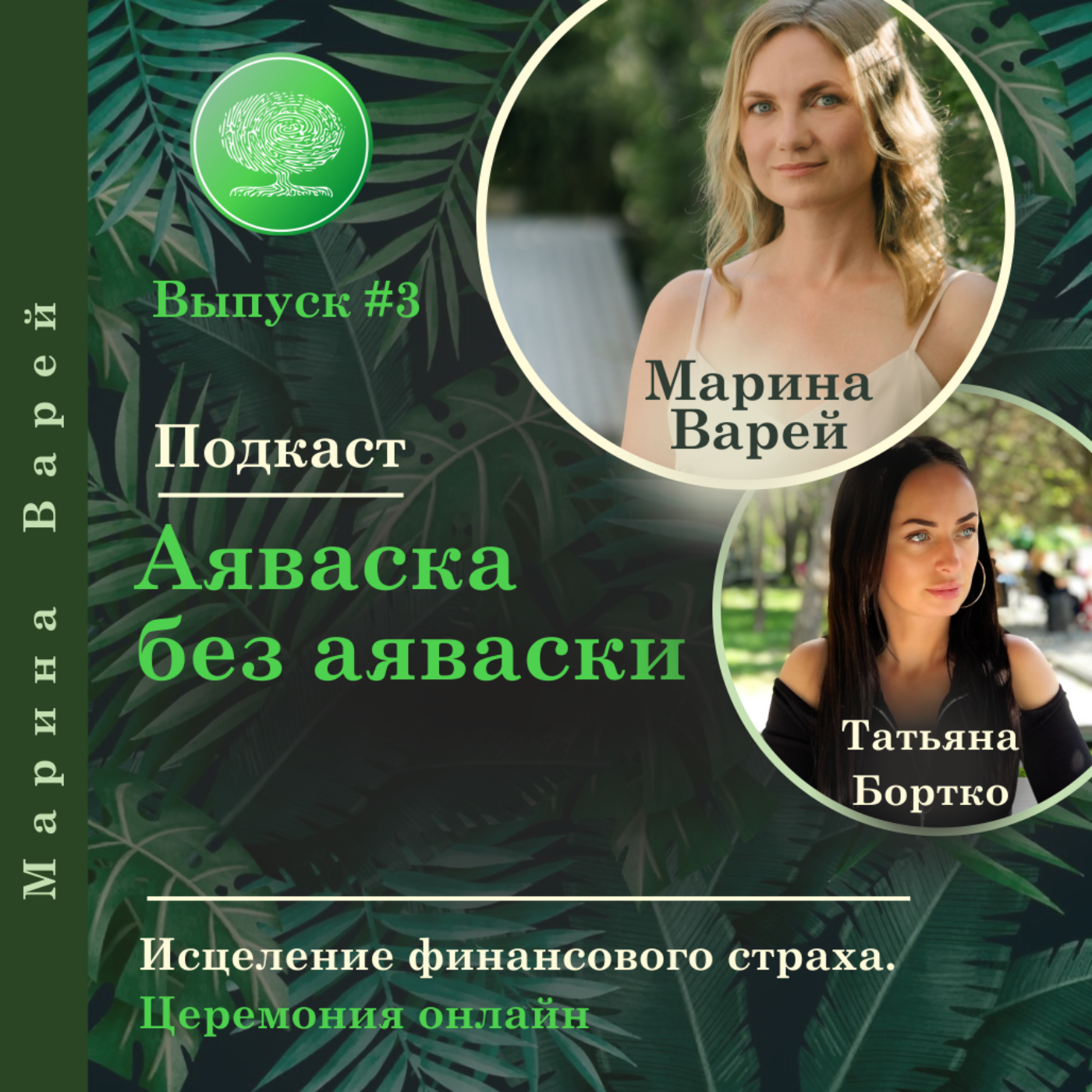 Выпуск #3 - Аяваска без Аяваски - убираем искажение, мешающие финансовому изобилию. episode artwork