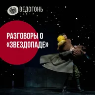 Разговоры о "Звездопаде" - Светлана Шагурина и Ольга Ситникова об истории и медицине военных лет