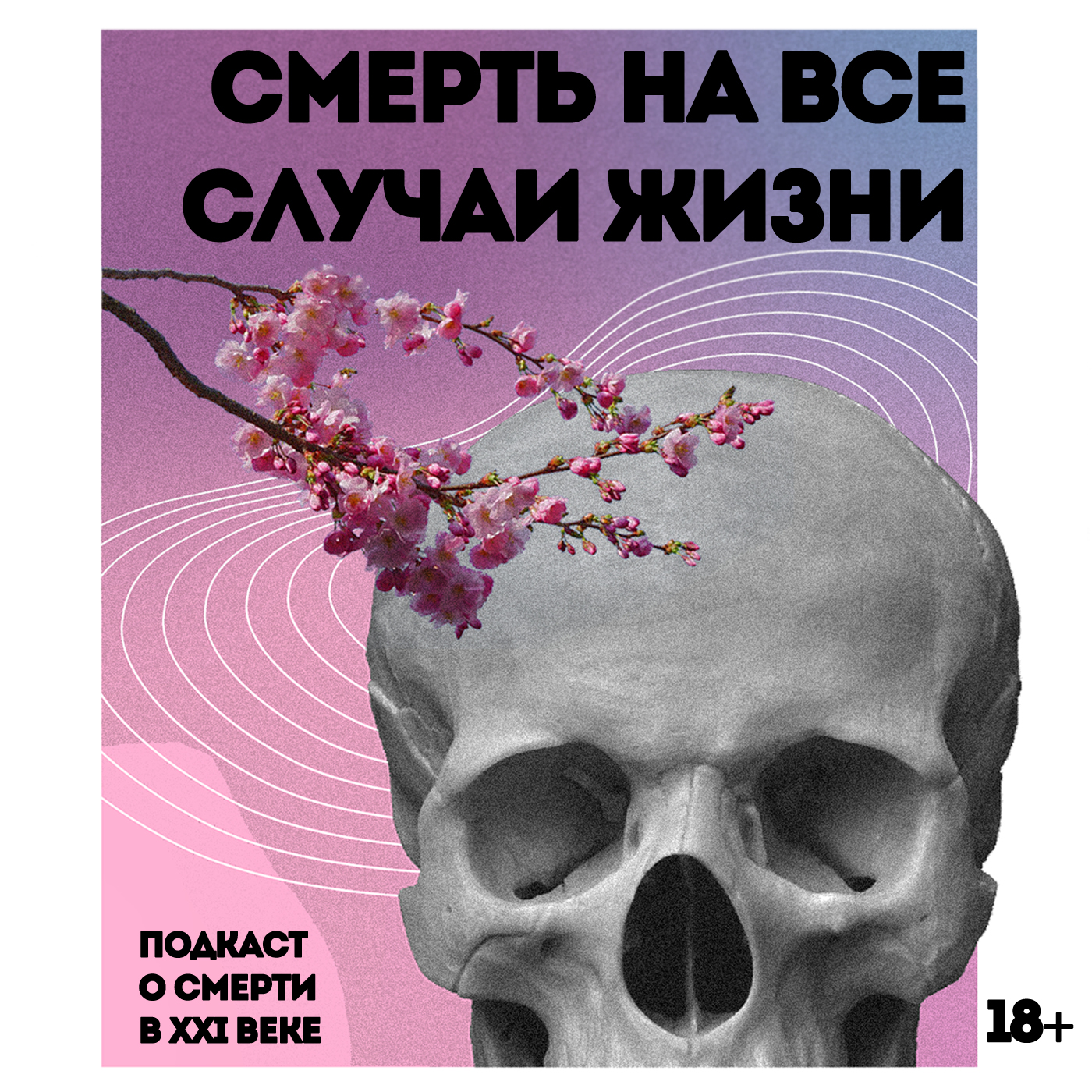О "мертвых" страницах, Death Tourism и RIP-троллинге | Илья Стечкин episode artwork