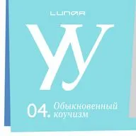 Обыкновенный коучизм. Стоит ли полагаться на наставников и прочих гуру?