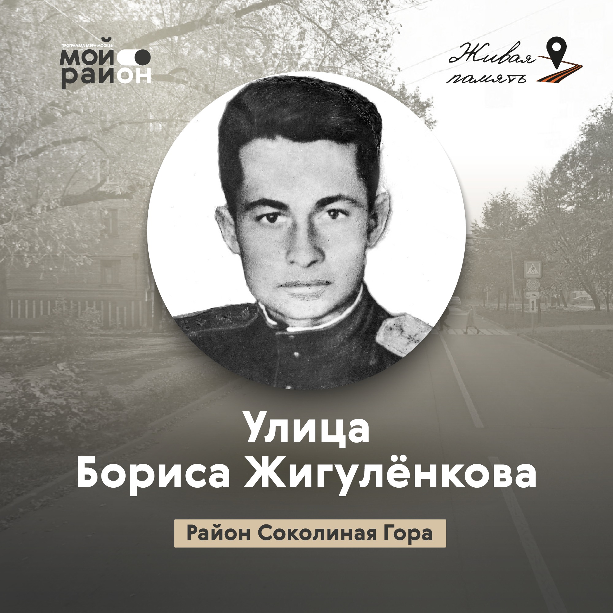 Улица Бориса Жигулёнкова (район Соколиная Гора) episode artwork