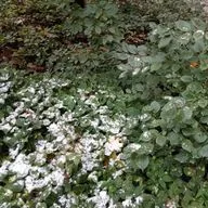 Мотивационные стихи, от которых хочется жить_Выпуск_33