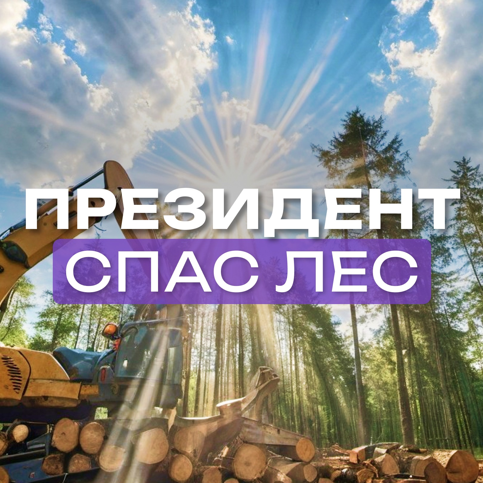 Как спасти парк от застройки и произвола чиновников episode artwork