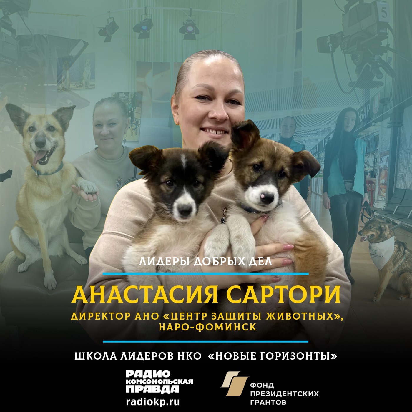 Заведи собаку из приюта episode artwork