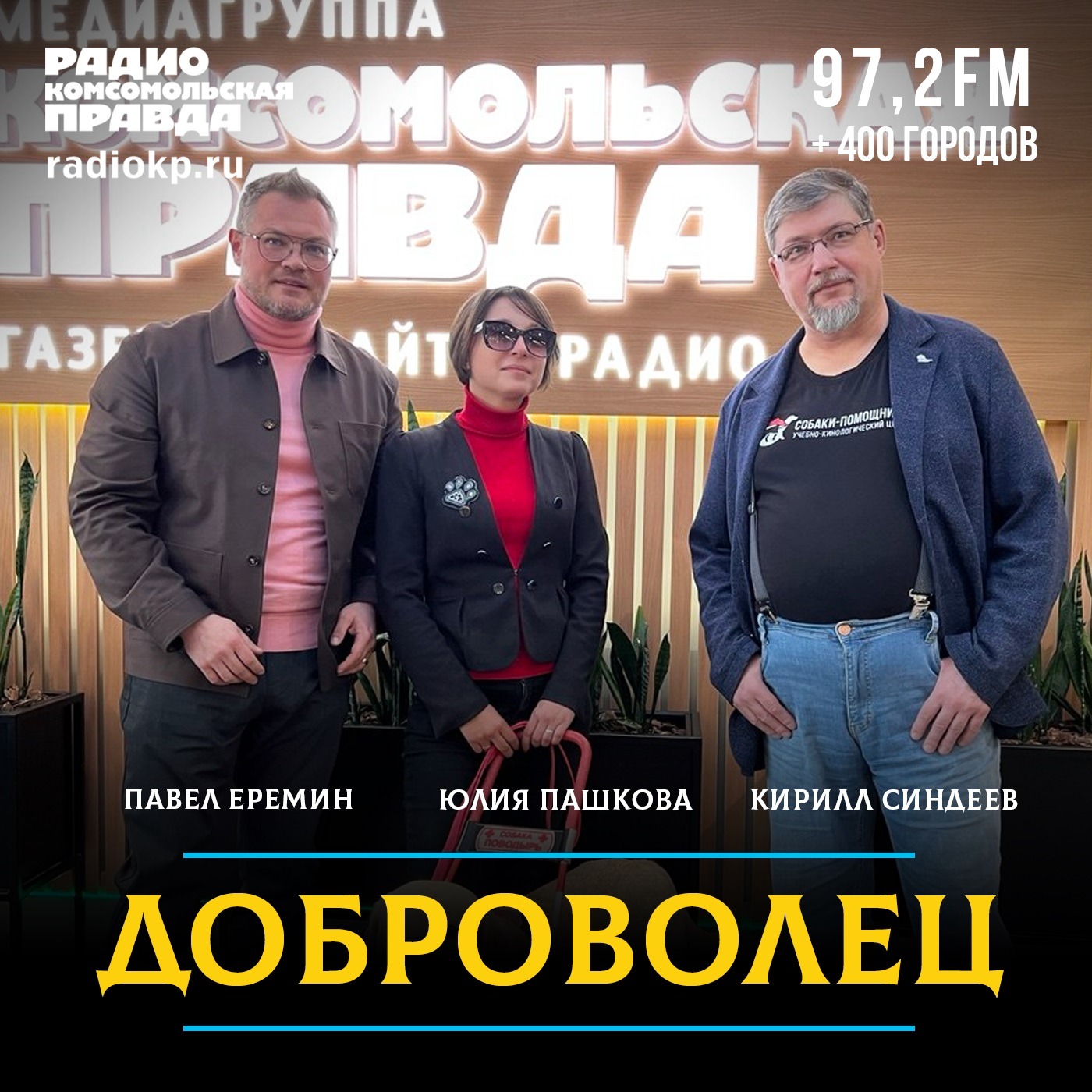 Как стать волонтером, чтобы щенков лабрадора выращивать в собаку поводыря episode artwork