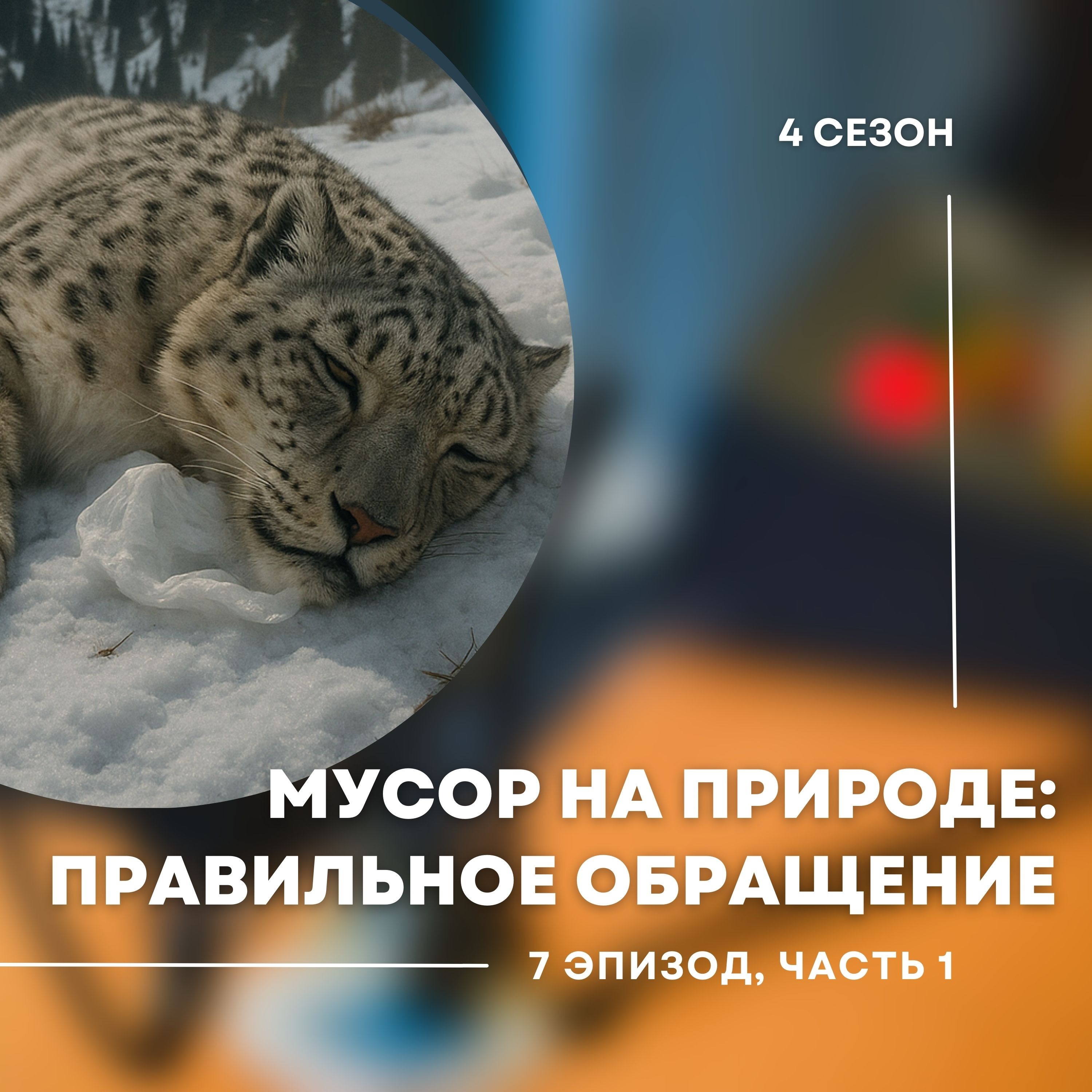4-й сезон. 7-й эпизод. Часть 1. Как правильно обращаться с мусором на природе.