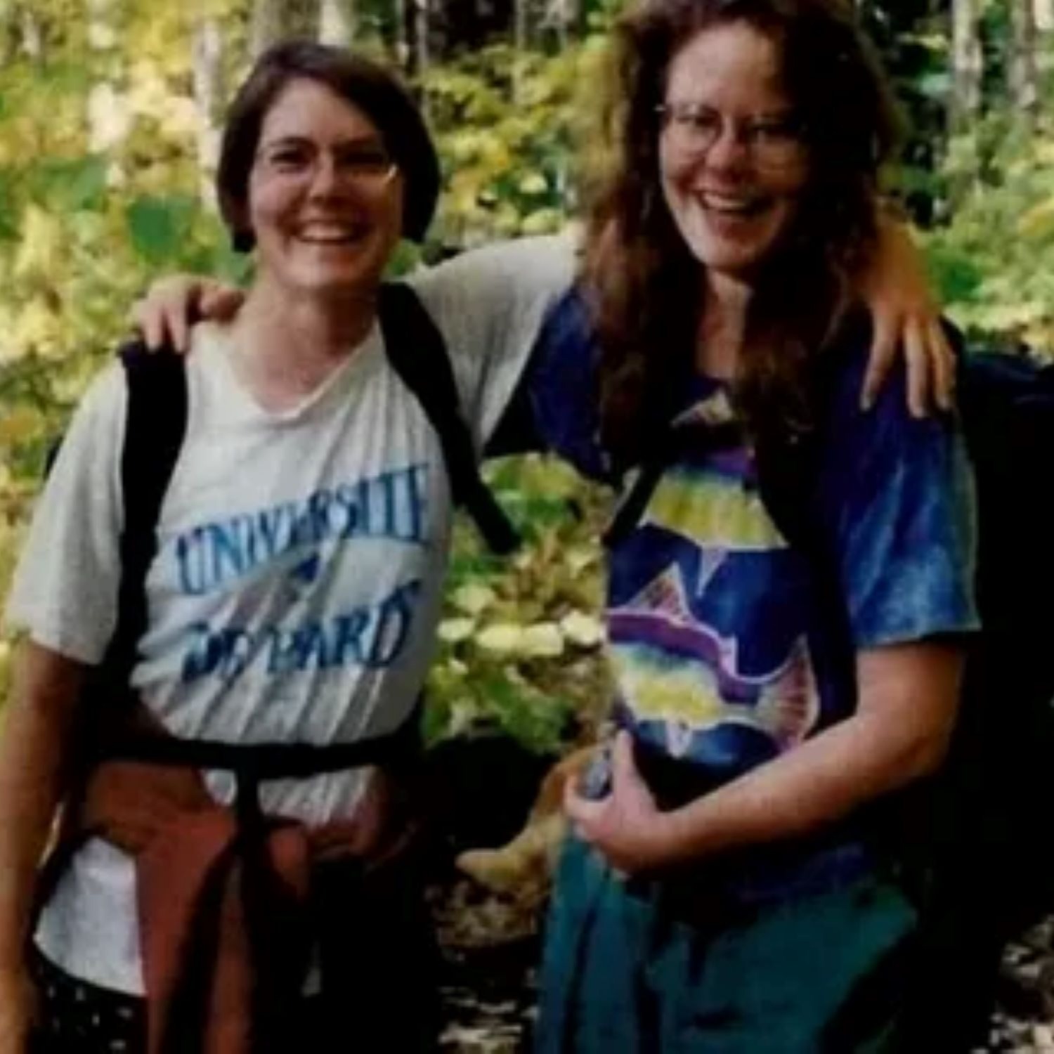 Дело №29.Парк Шенандоу