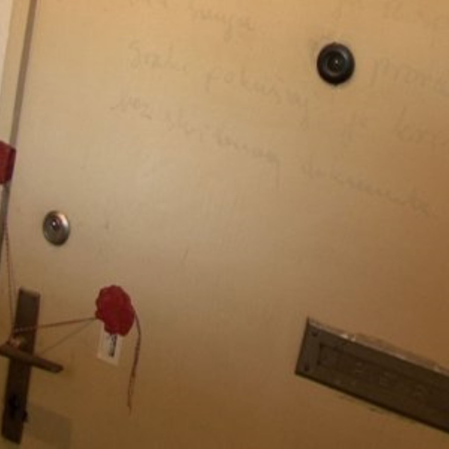 Дело №41.Хедвига Голик