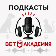 Системный калицивироз кошек: от мутации до интенсивной терапии