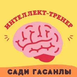 ИНТЕЛЛЕКТ-ТРЕНЕР - Сади Гасанлы