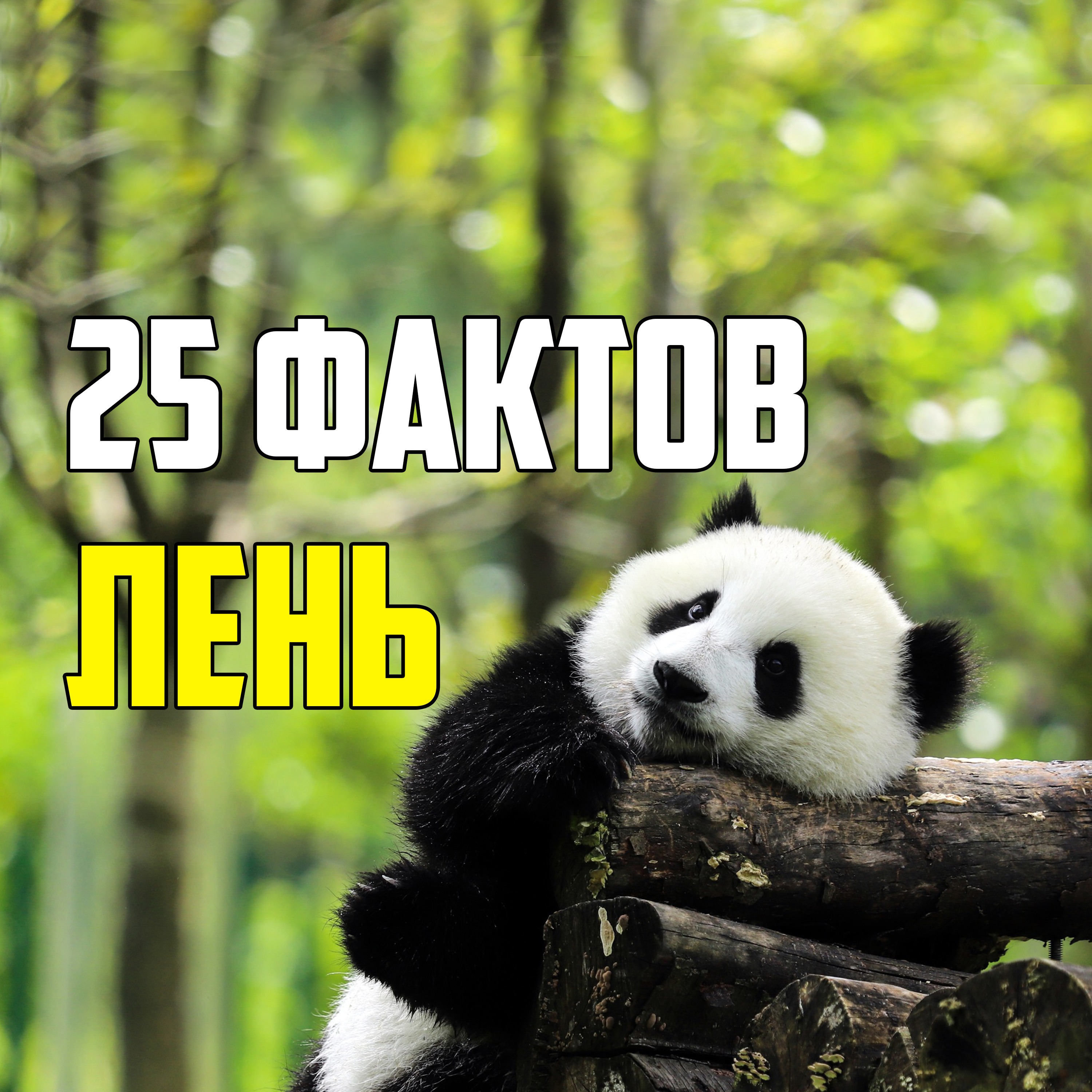 25 ИНТЕРЕСНЫХ ФАКТОВ О ЛЕНИ, КОТОРЫЕ ВАМ ЛЕНЬ ГУГЛИТЬ episode artwork