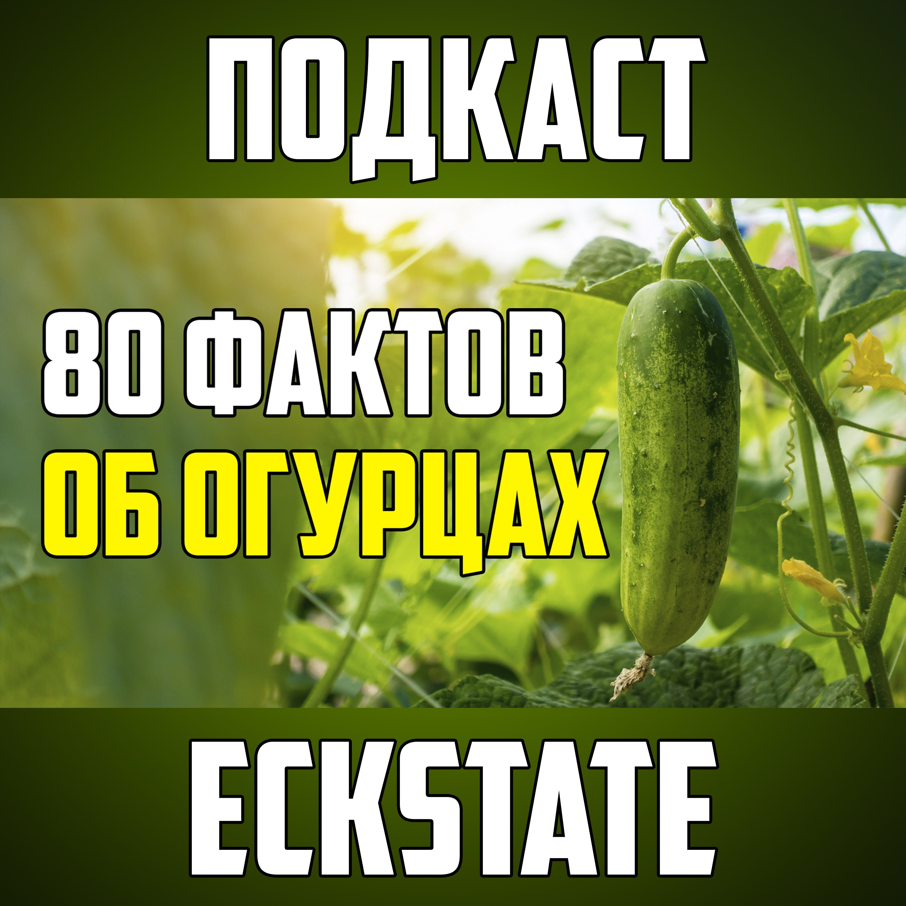 80 ИНТЕРЕСНЫХ ФАКТОВ ОБ ОГУРЦАХ episode artwork