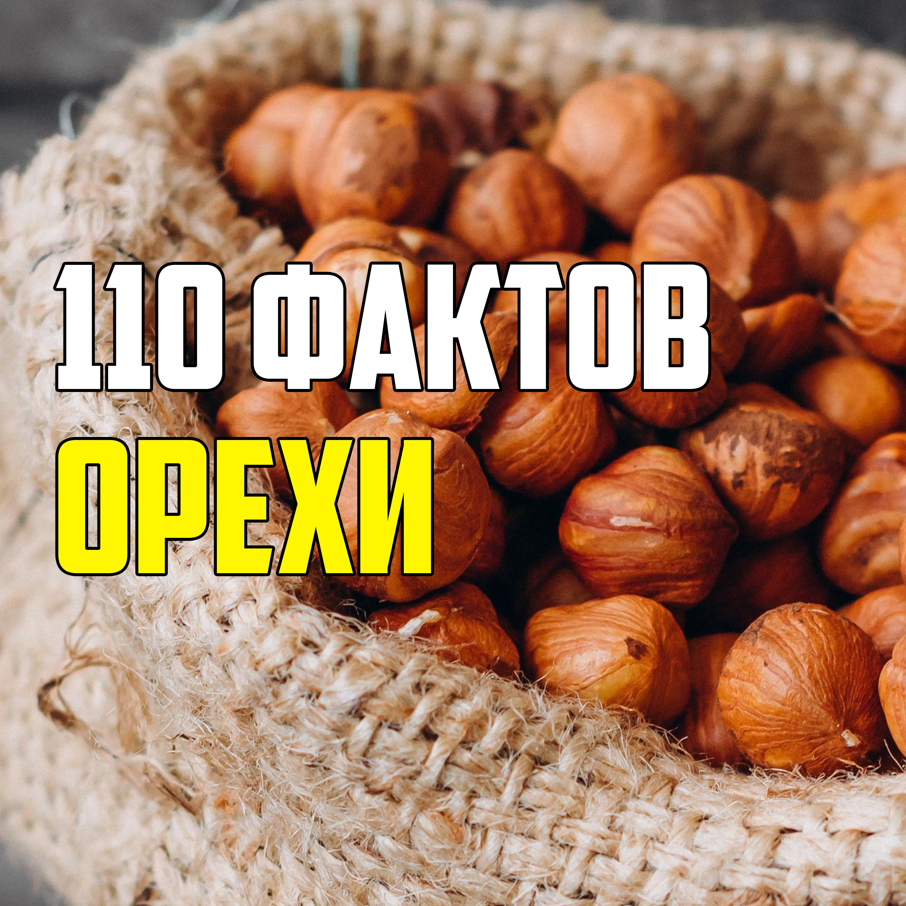 110 ИНТЕРЕСНЫХ ФАКТОВ ОБ ОРЕХАХ episode artwork