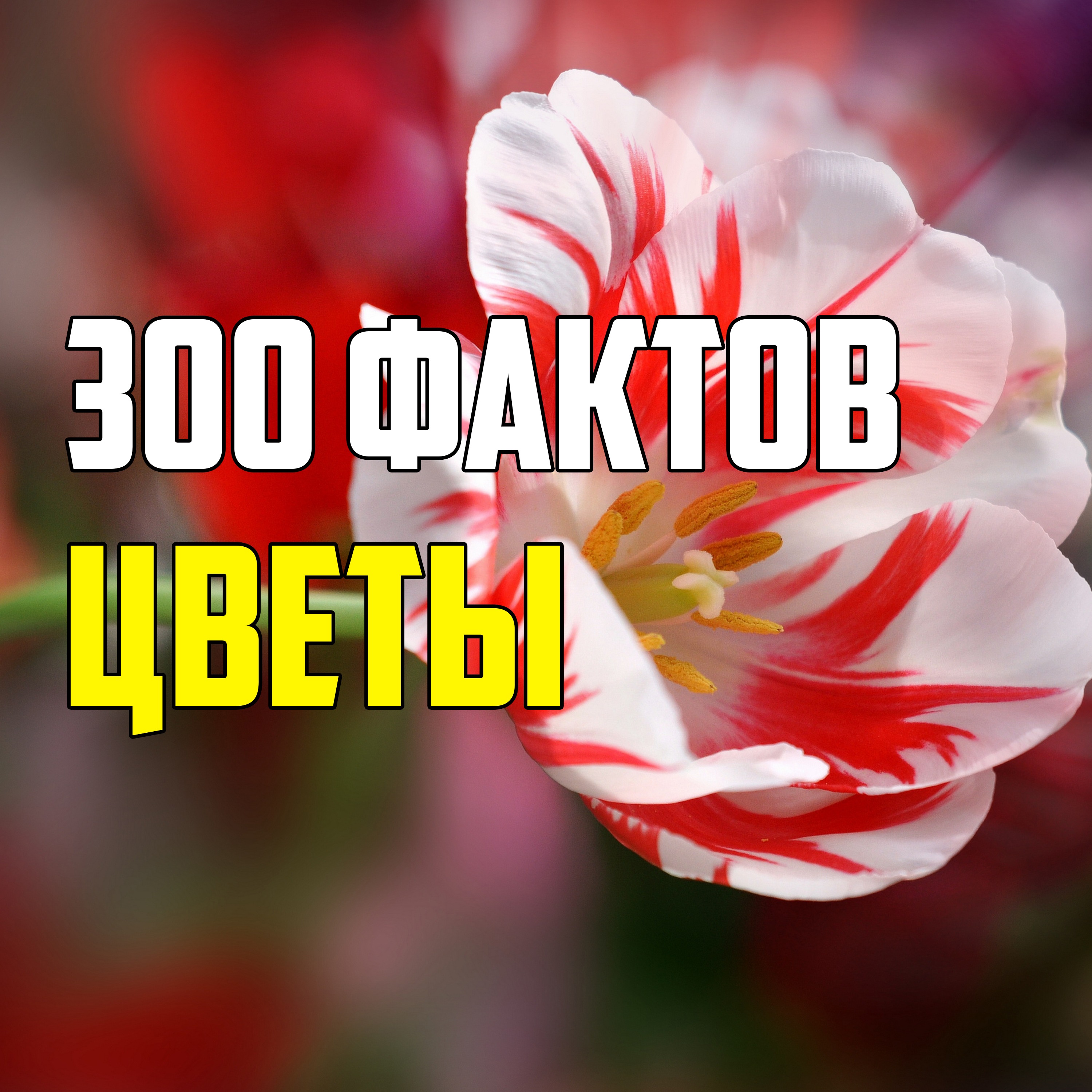 300 ИНТЕРЕСНЫХ ФАКТОВ О ЦВЕТАХ episode artwork