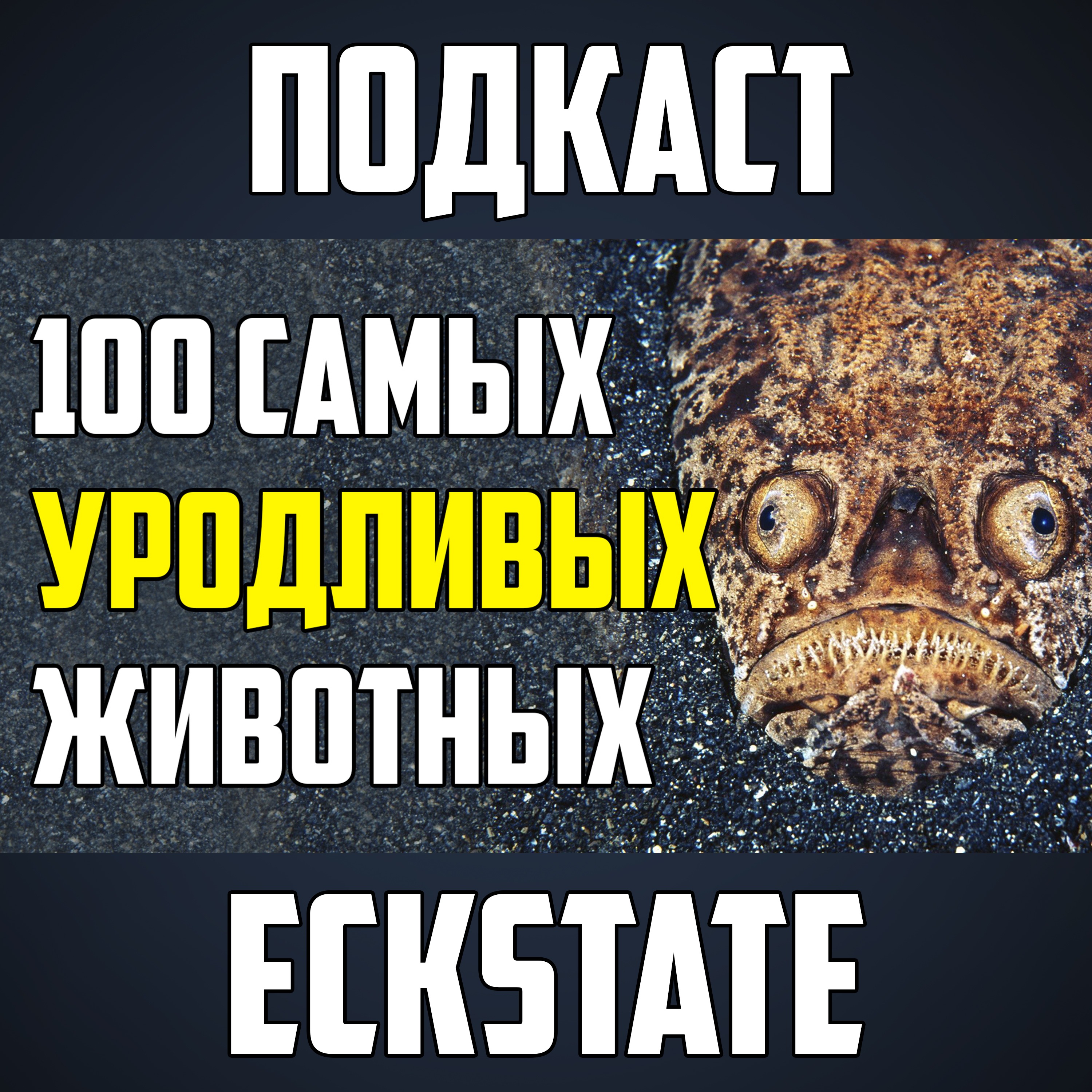 100 САМЫХ УРОДЛИВЫХ И СТРАШНЫХ ЖИВОТНЫХ В МИРЕ, КОТОРЫХ ЛУЧШЕ НЕ ВИДЕТЬ episode artwork