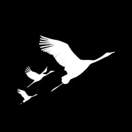 Теракт в Крокус Сити Холле