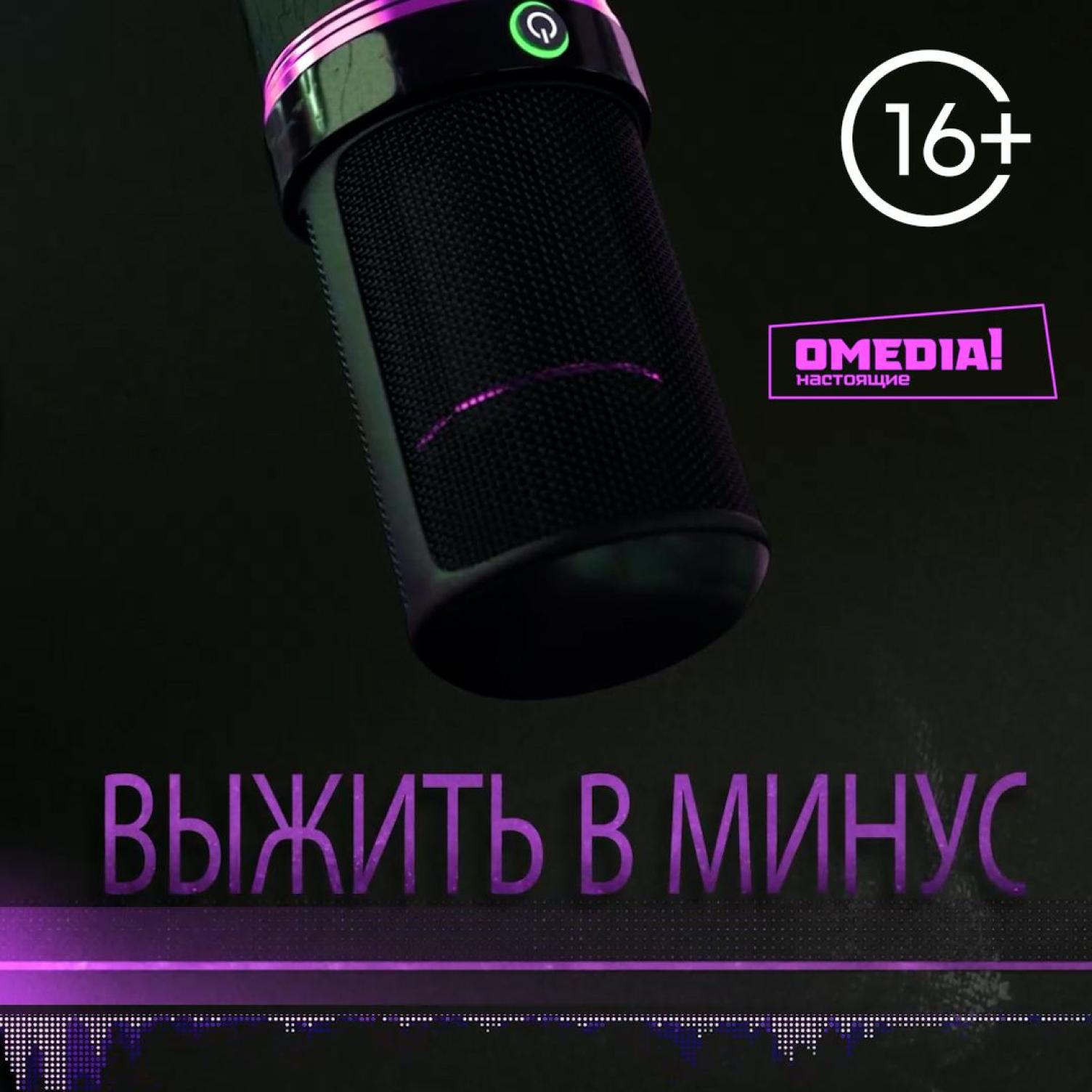 Выжить в минус. Елена Диколенко episode artwork
