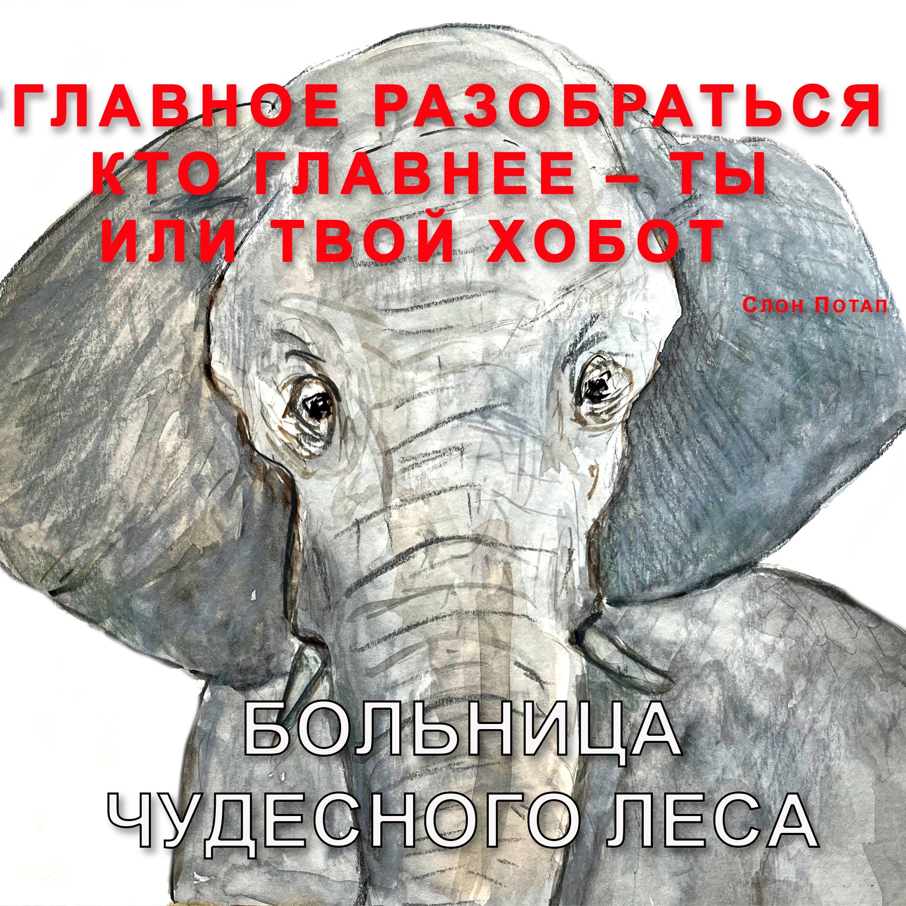 Больница Чудесного леса episode artwork