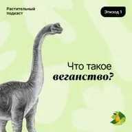 Что такое веганство?