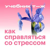 Урок 8. Побеждаем когнитивные искажения