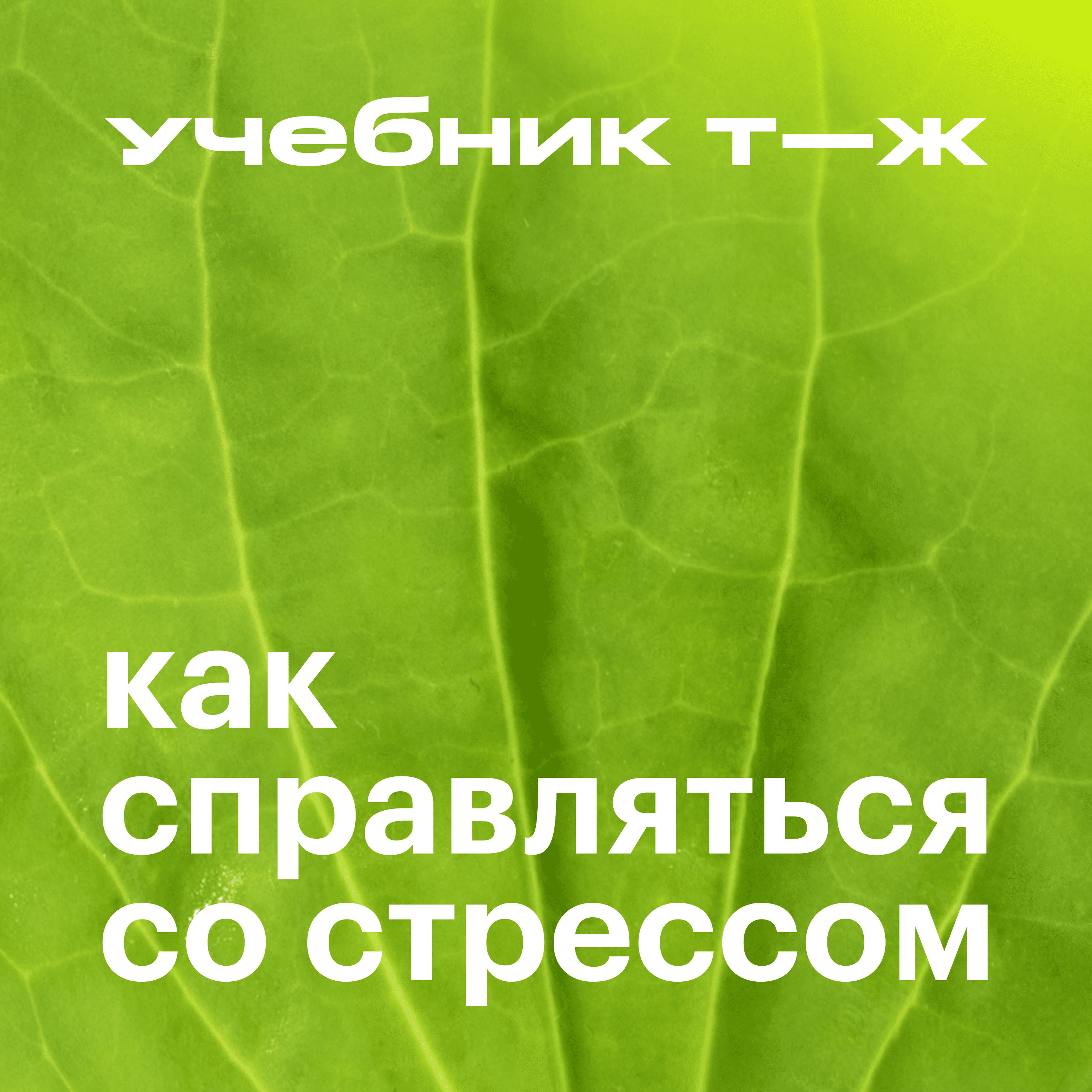 Трейлер episode artwork