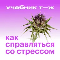 Урок 5. Разбираемся со стрессом от работы
