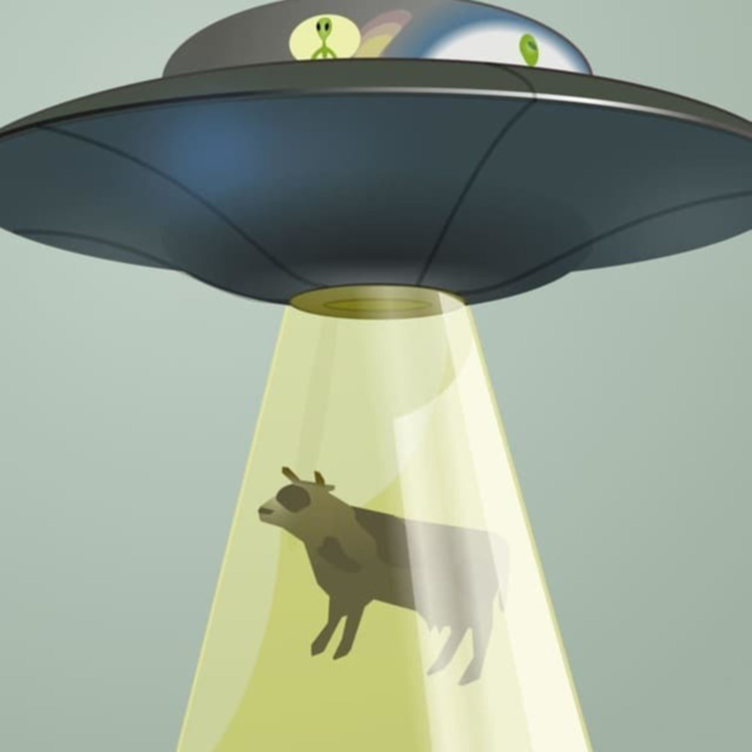 s03e04 - FAANG, алгоритмы и собеседования podcast