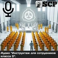 Аудио "Инструктаж для сотрудников класса D".