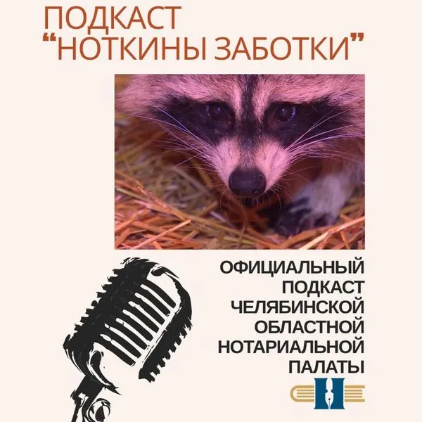 НОТКИНЫ ЗАБОТКИ