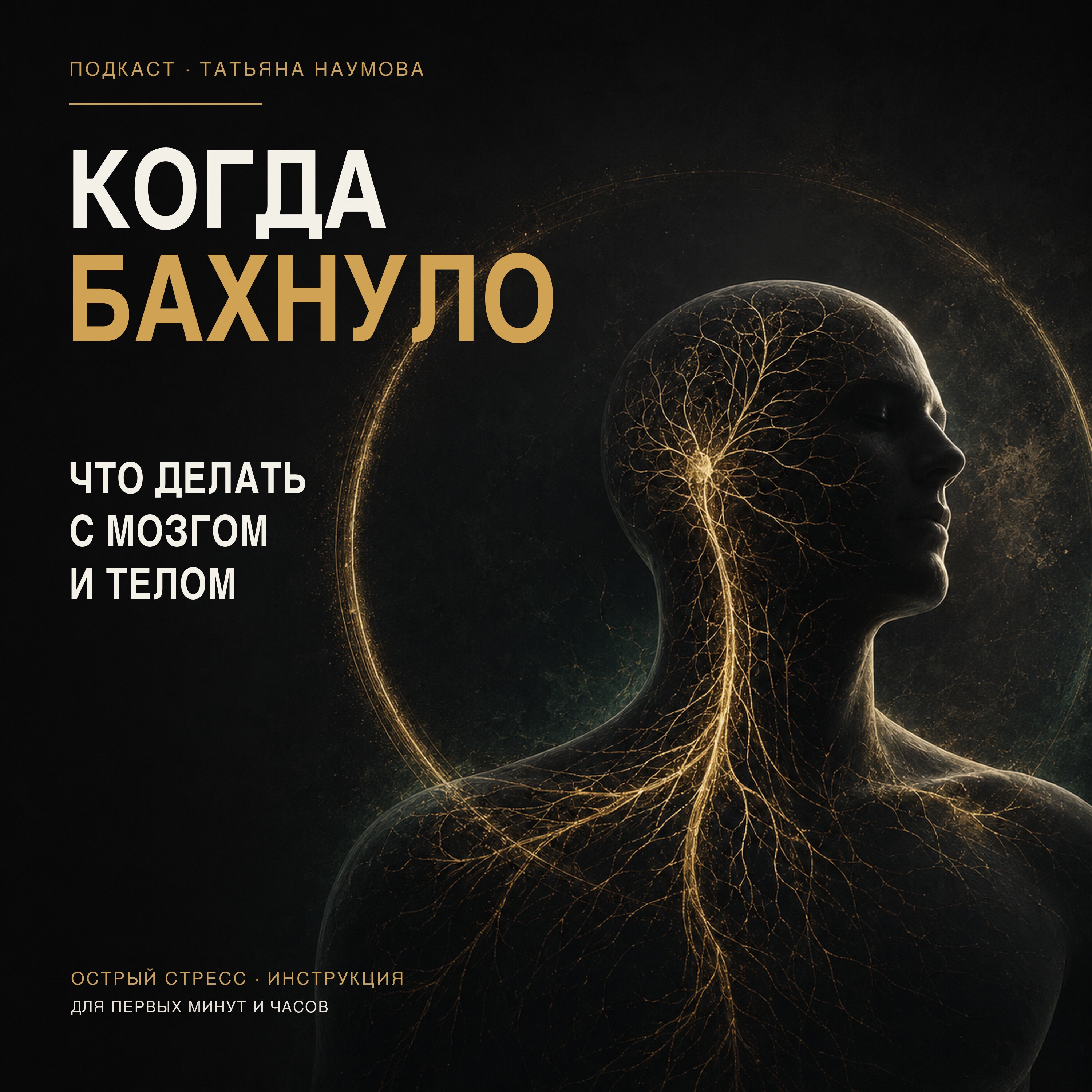 Когда бахнуло: что делать с мозгом и телом при остром стрессе episode artwork