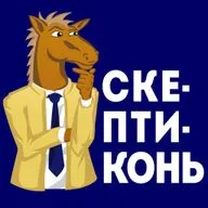 Как устроена полиция в России? — Товарищ майор