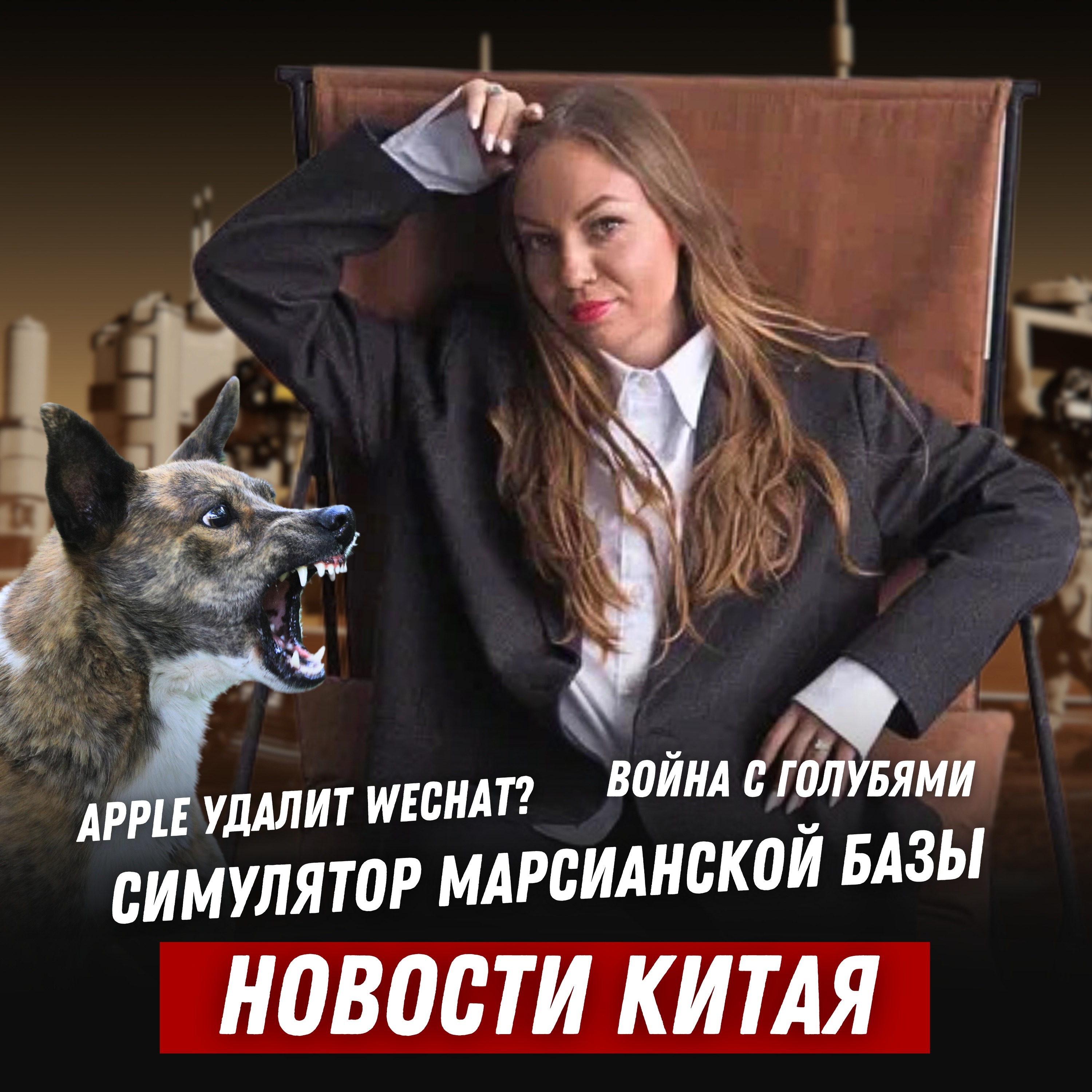 Новости Китая №60 | Война с голубями | Симулятор марсианской базы episode artwork