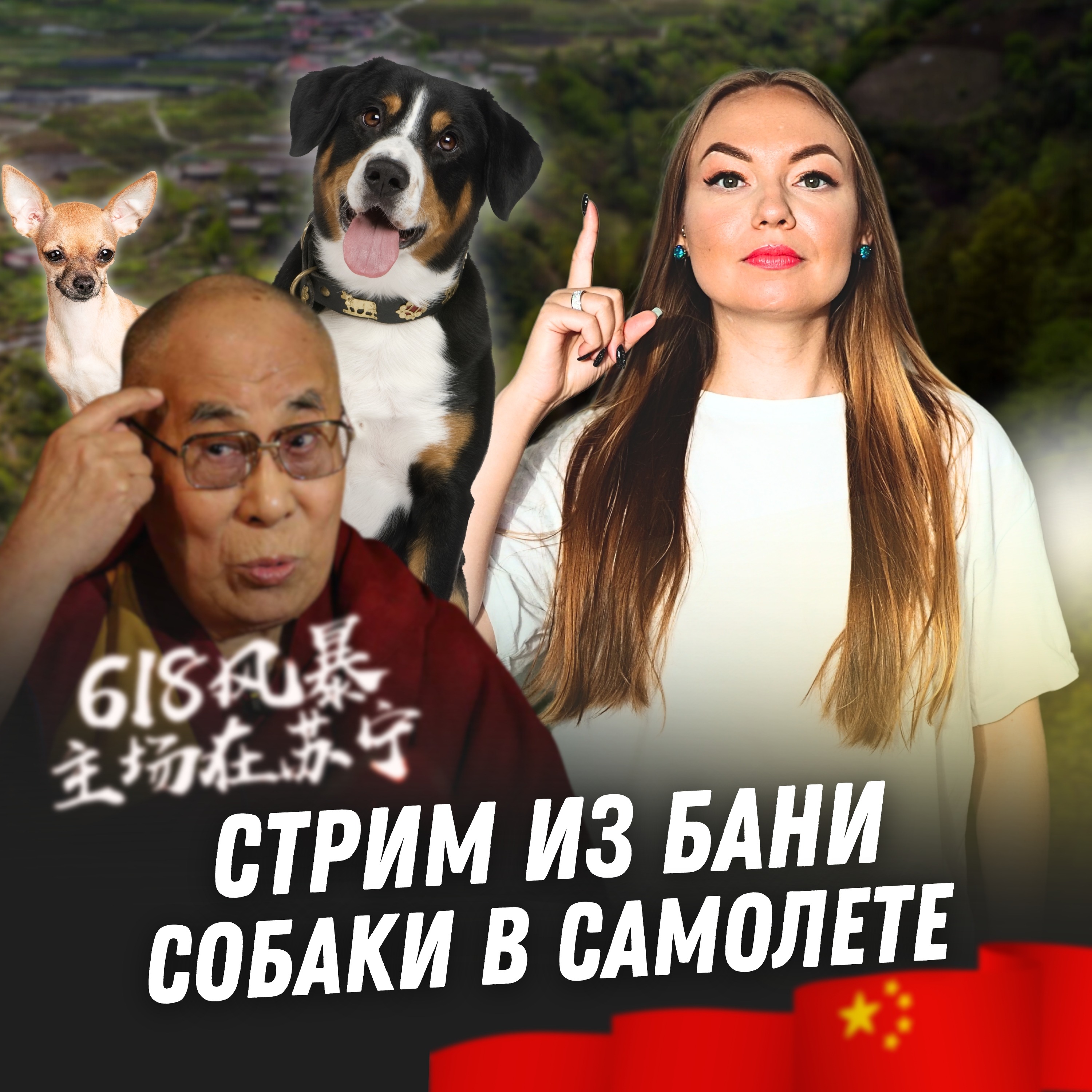 Новости Китая №55 | Собакам разрешили летать в салоне самолета | Стрим из питерской бани episode artwork