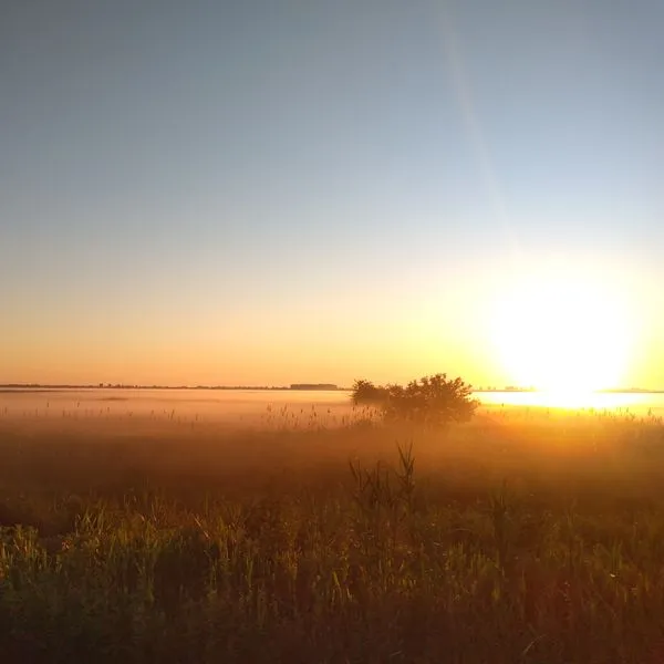 Медитации от канала "На крыльях мирового духа"