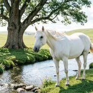 🐎💫 Выпуск 33. Медитация гармонизация тела и взаимоотношений тела и духа через работу с символами. На основе практик психосинтеза Роберто Ассаджиоли
