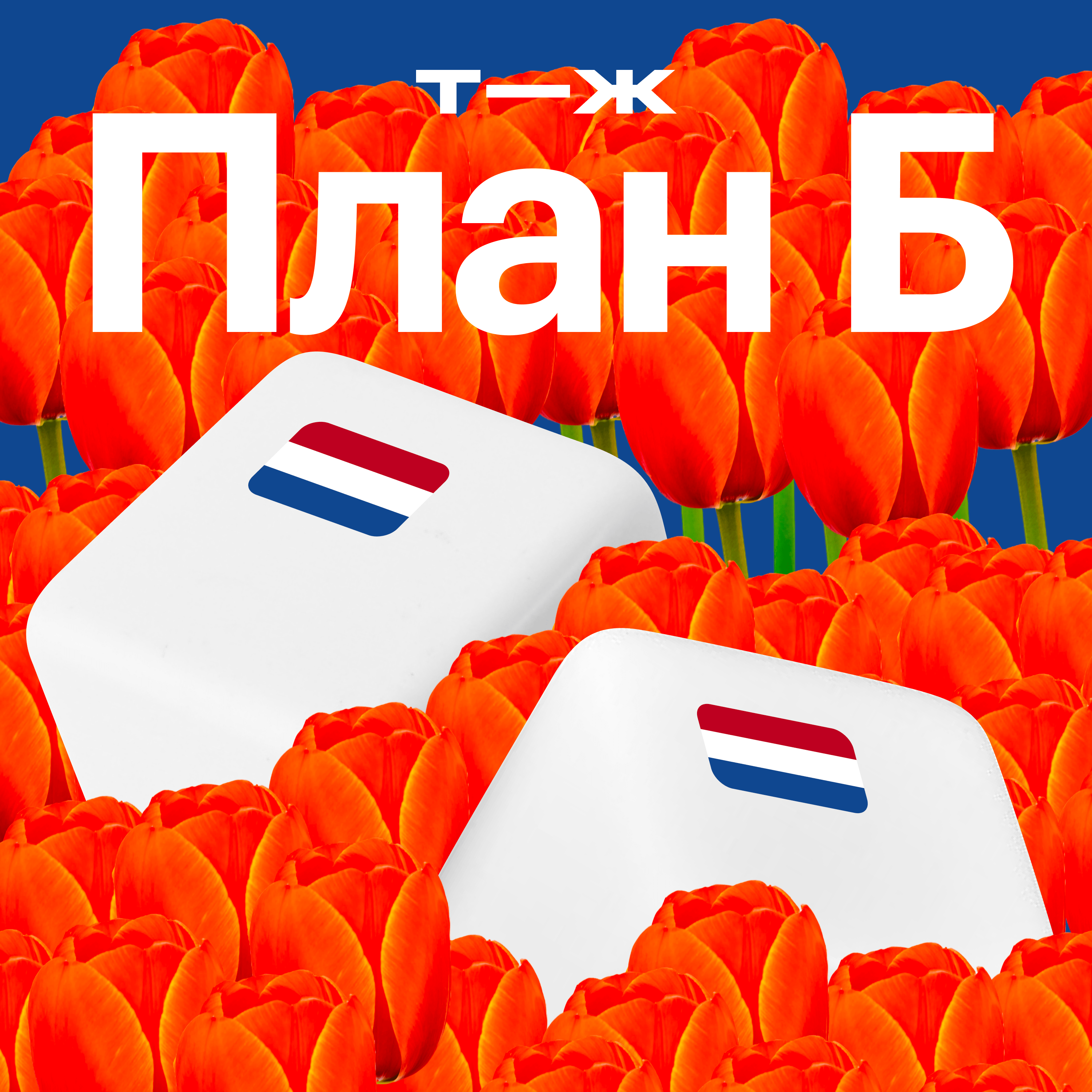Нидерланды: здесь придумали налоги на все. Наталья Ремиш episode artwork