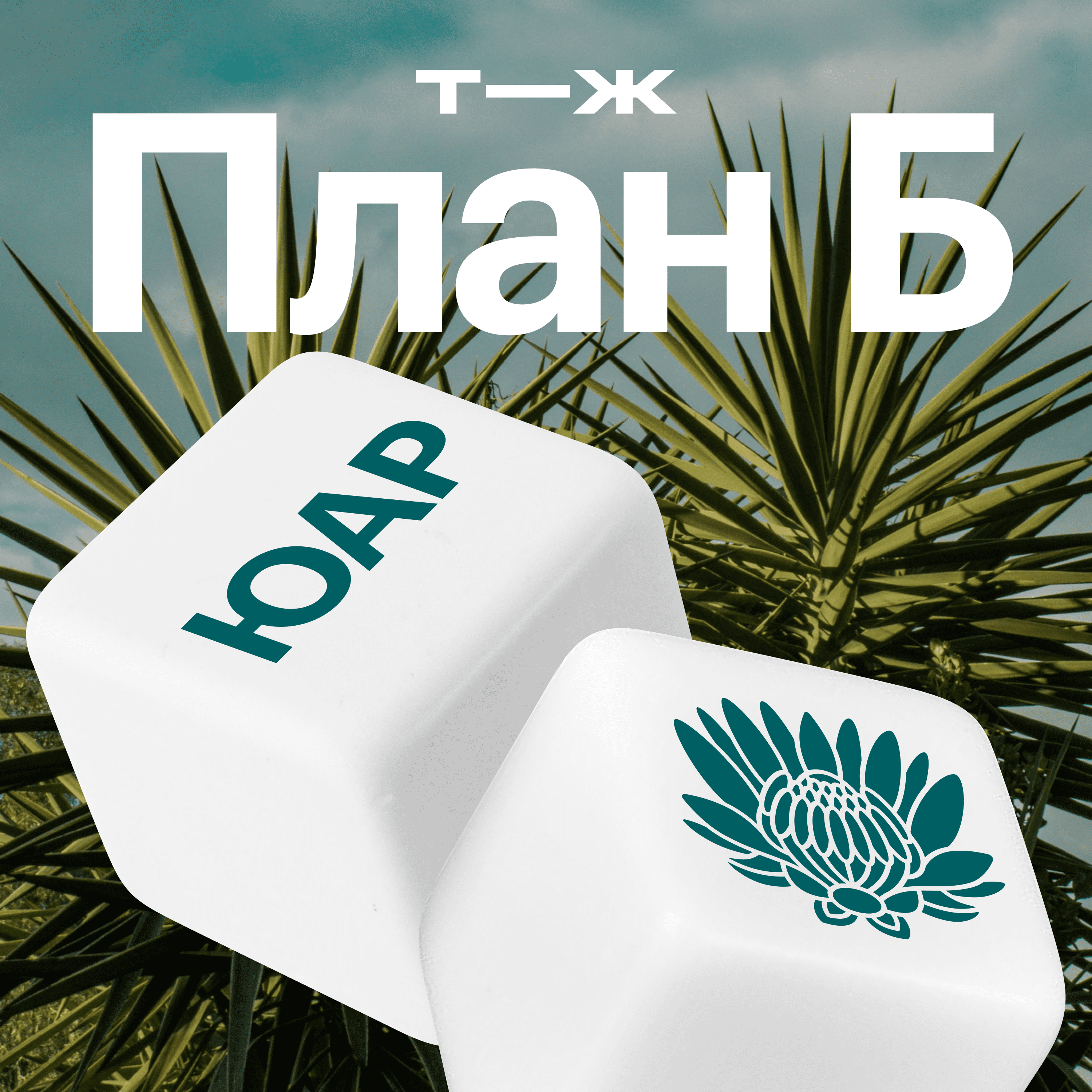 ЮАР: Без электричества, зато с пингвинами episode artwork