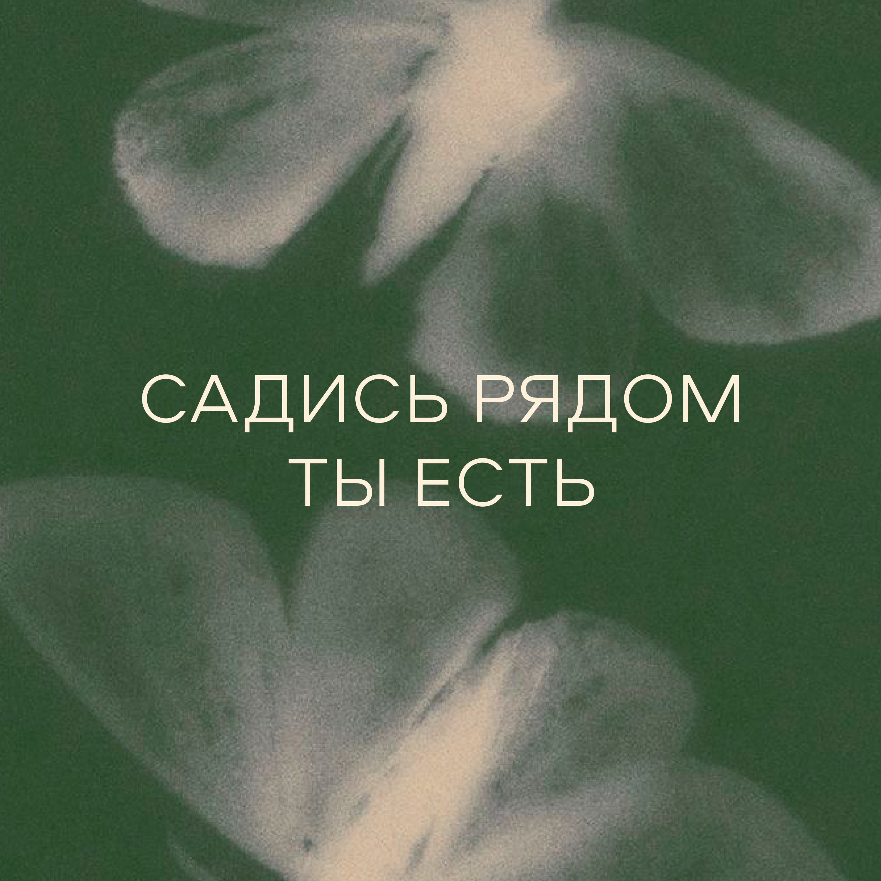 Отмечаем год подкасту episode artwork