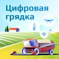 Эволюция гидропоники и цифровое растениеводство Greenbar: от Кнопа до «Виртуального агронома»