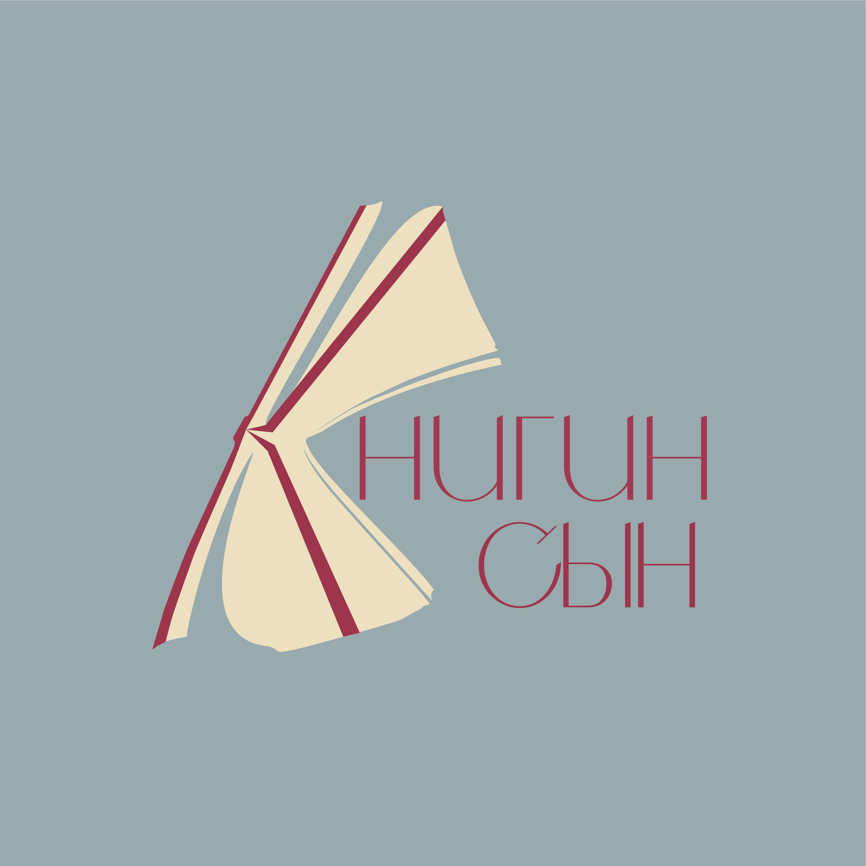 Книгин Сын