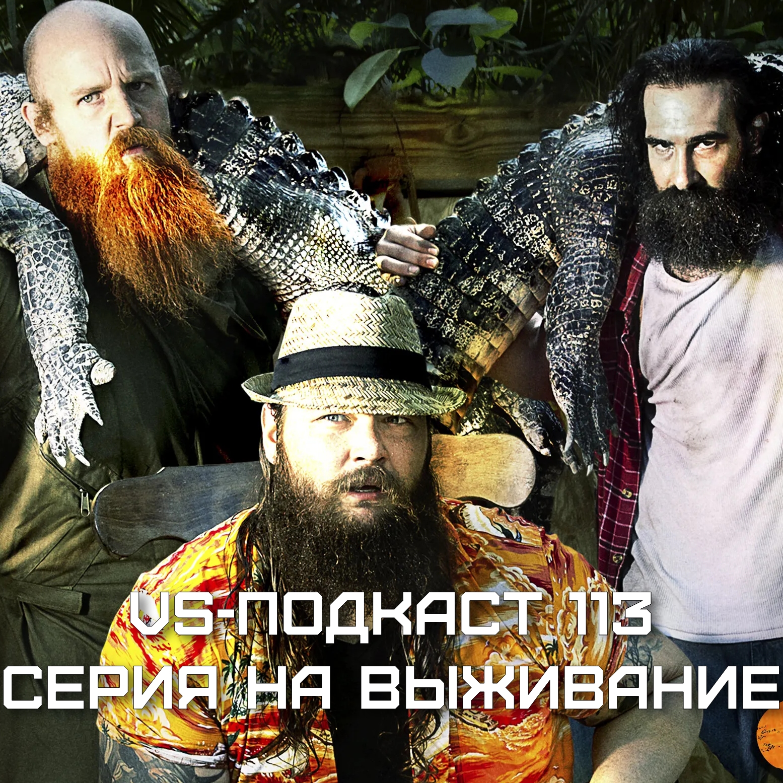 VS-Подкаст 113: Серии на выживание 2013 episode artwork