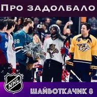 ПРО ЗАДОЛБАЛО. ШАЙБОТКАЧИК 8