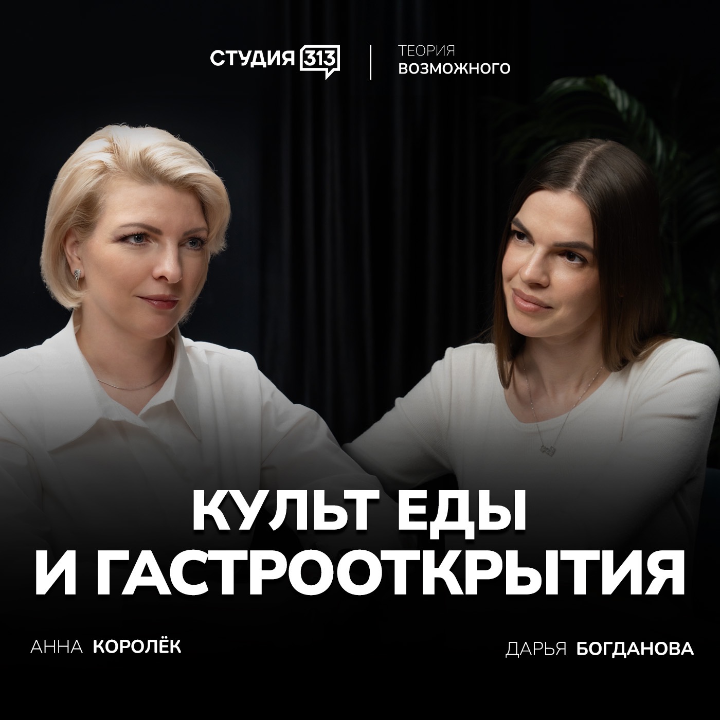 Дарья Богданова, журналист, главный редактор КРД.Собака.ru — гость подкаста «Теория возможного». episode artwork