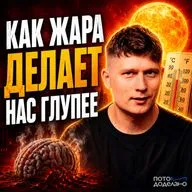 Нейробиология жары: как высокие температуры уничтожают наш интеллект | Потом доделаю