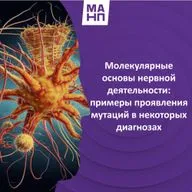 155. Молекулярные основы нервной деятельности: примеры проявления мутаций в некоторых диагнозах