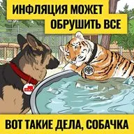 Дефицит бюджета России: это будет шок? Что придется делать ЦБ? / Халява для мира кончилась