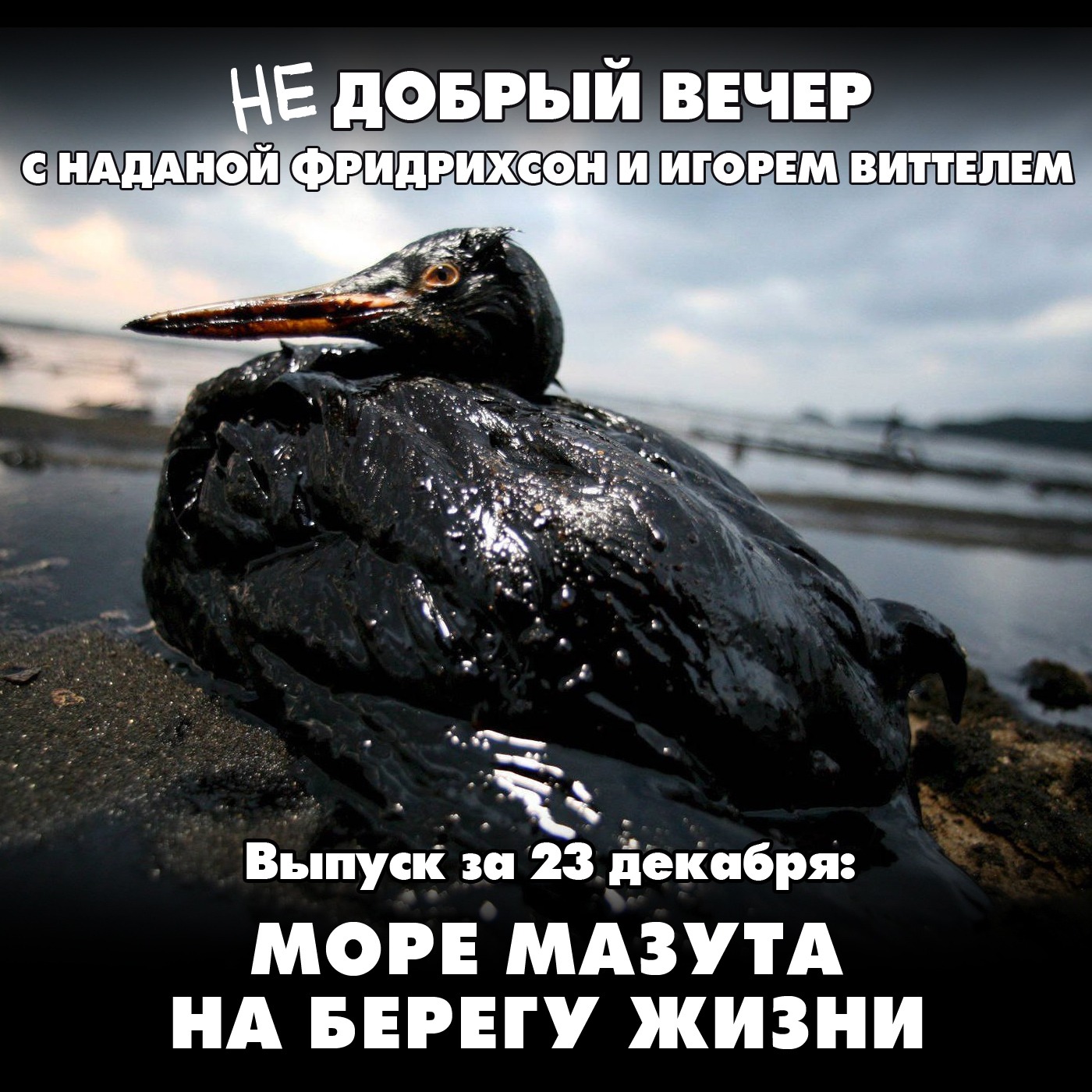 Море мазута на берегу жизни episode artwork