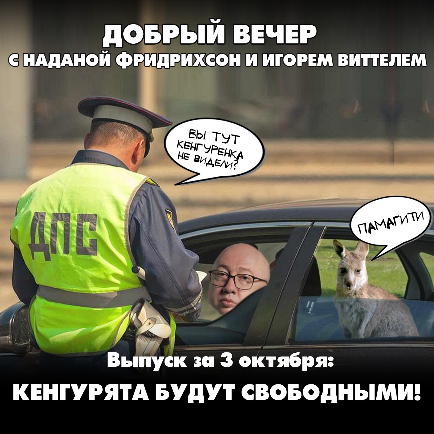 Кенгурята будут свободными episode artwork