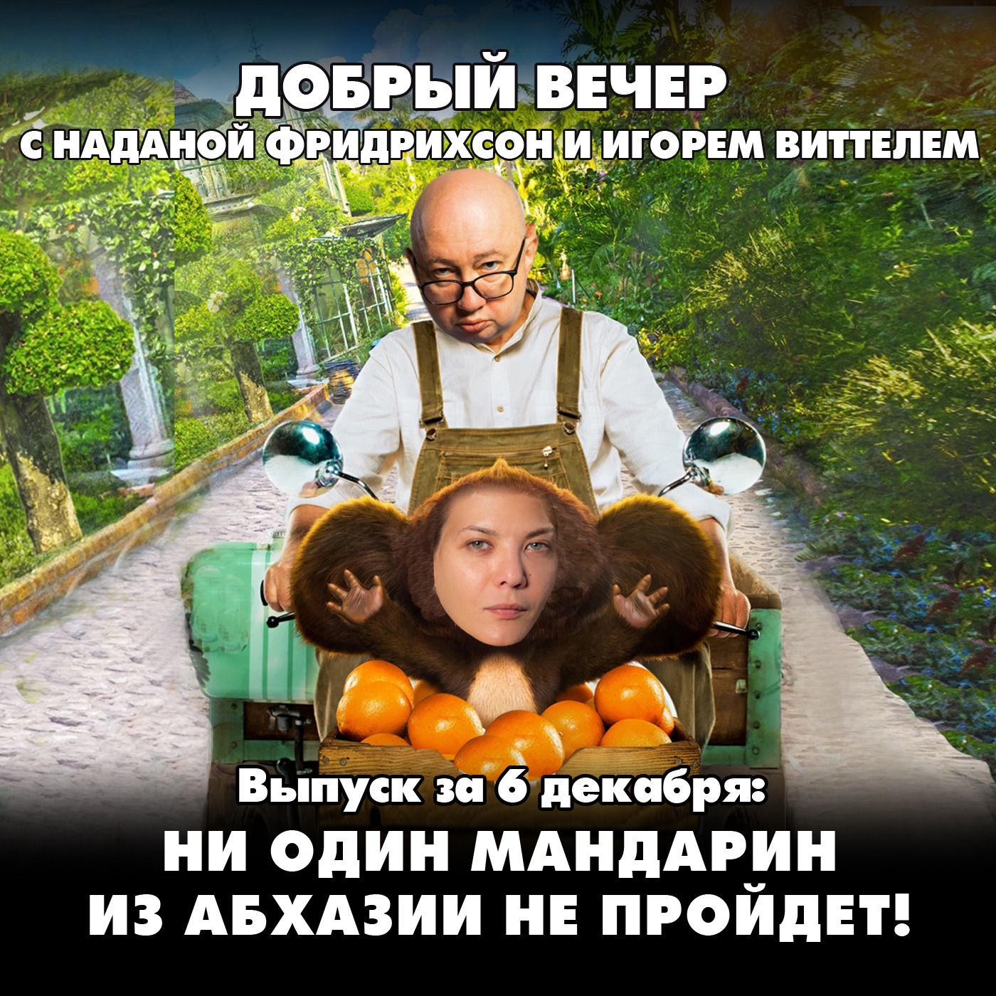 Ни один мандарин из Абхазии не пройдет episode artwork